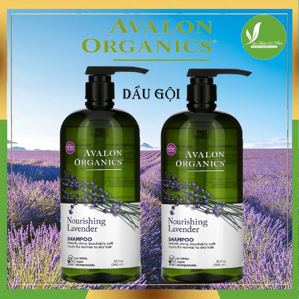 Dầu gội và xả Lavender chai lớn Avalon Organic (946ml)