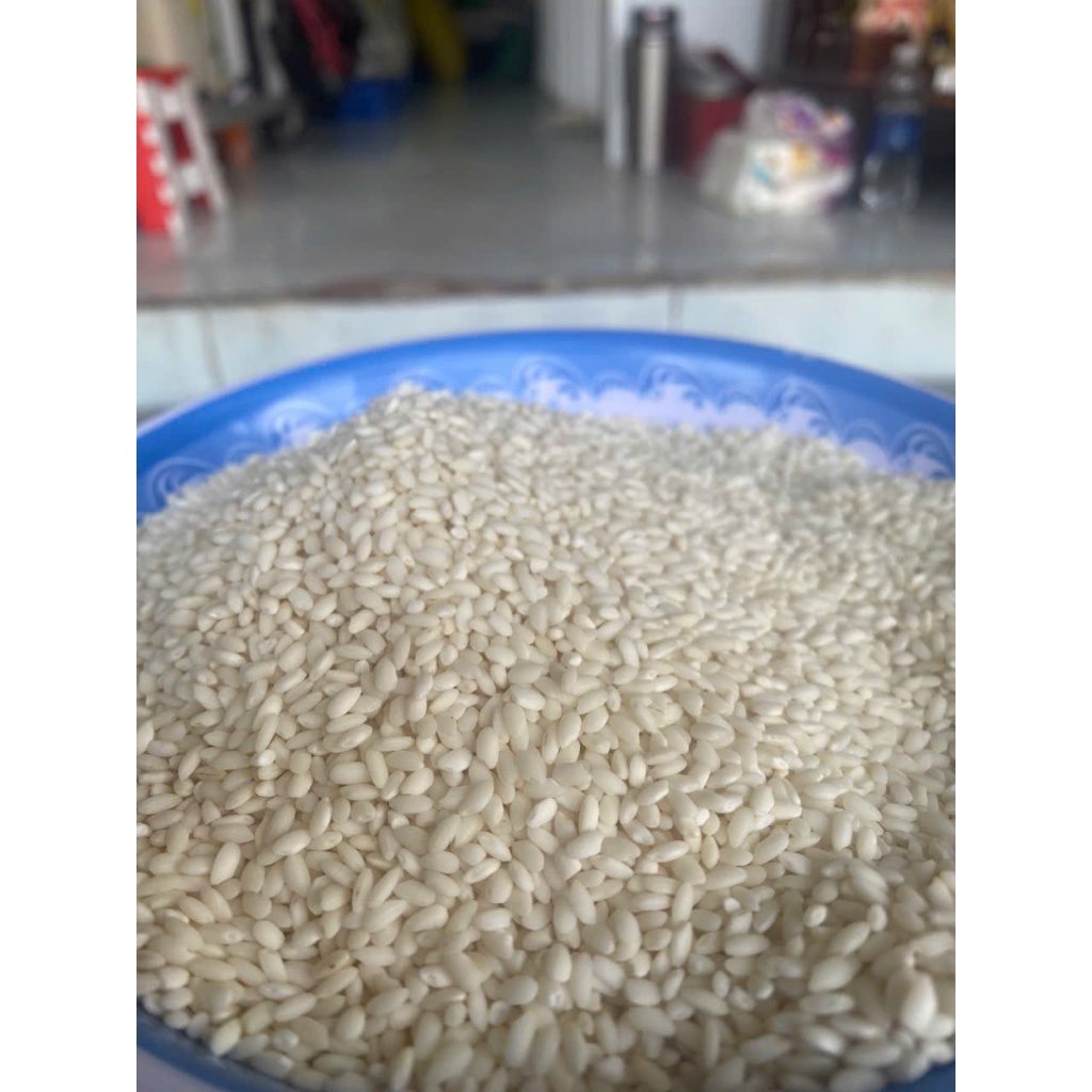 Nếp Cái Hoa Vàng  Hạt nếp Thơm Ngon, Dẻo Bùi