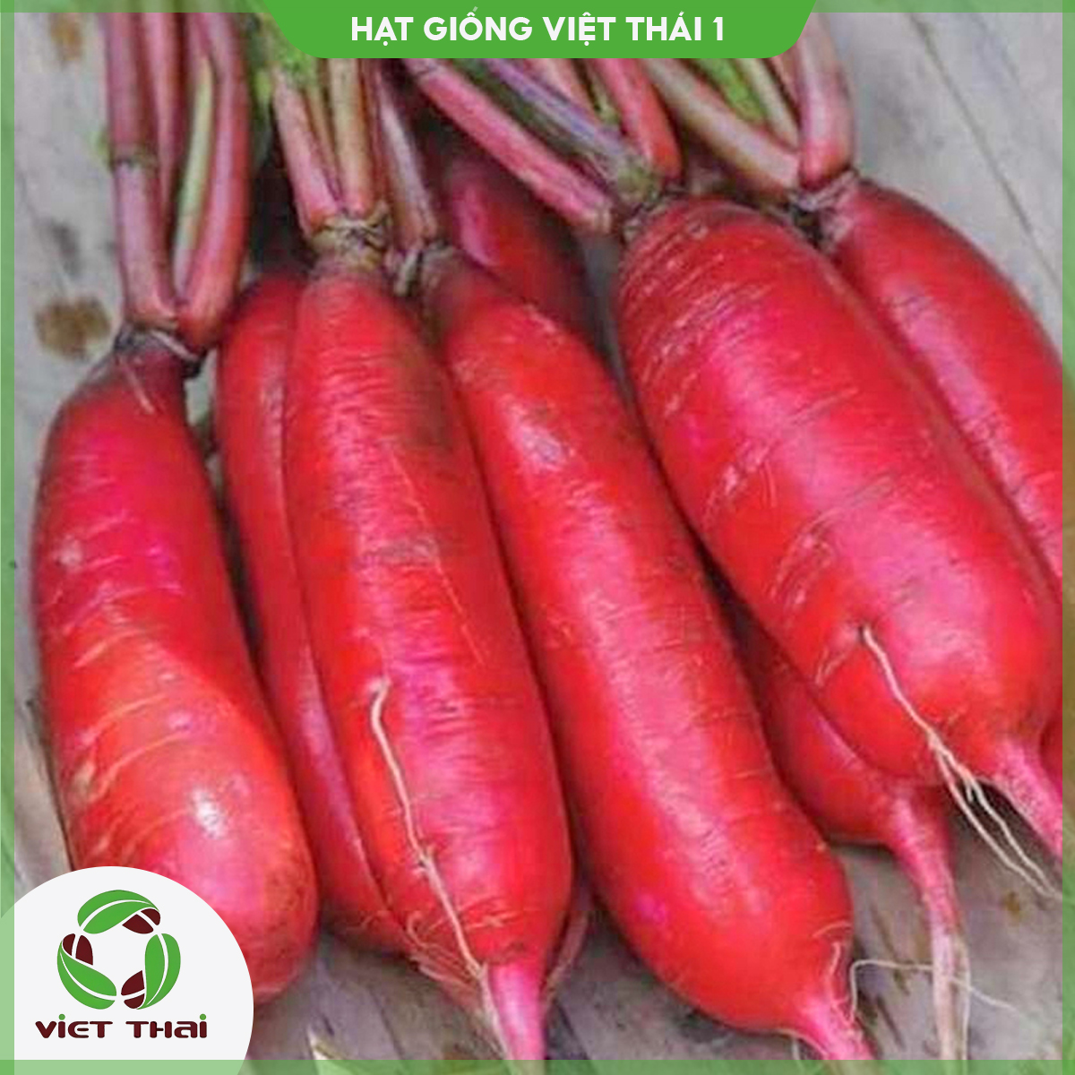 [SALE] Hạt giống Củ Cải Đỏ TN - HGVT1