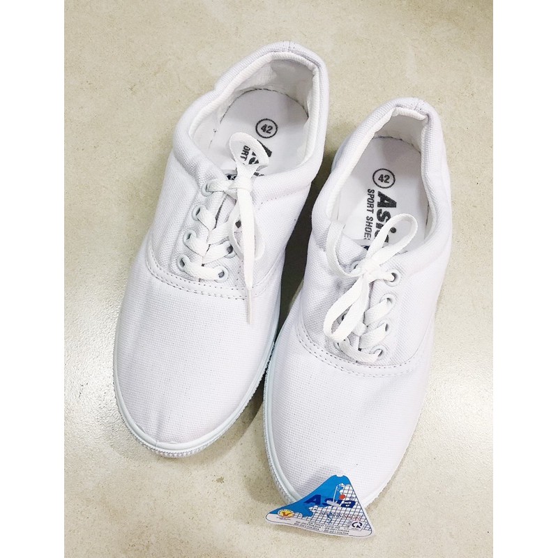 Giày thể dục Cột NAM vải TRẮNG có size 44 thể thao học sinh, lao động Asia