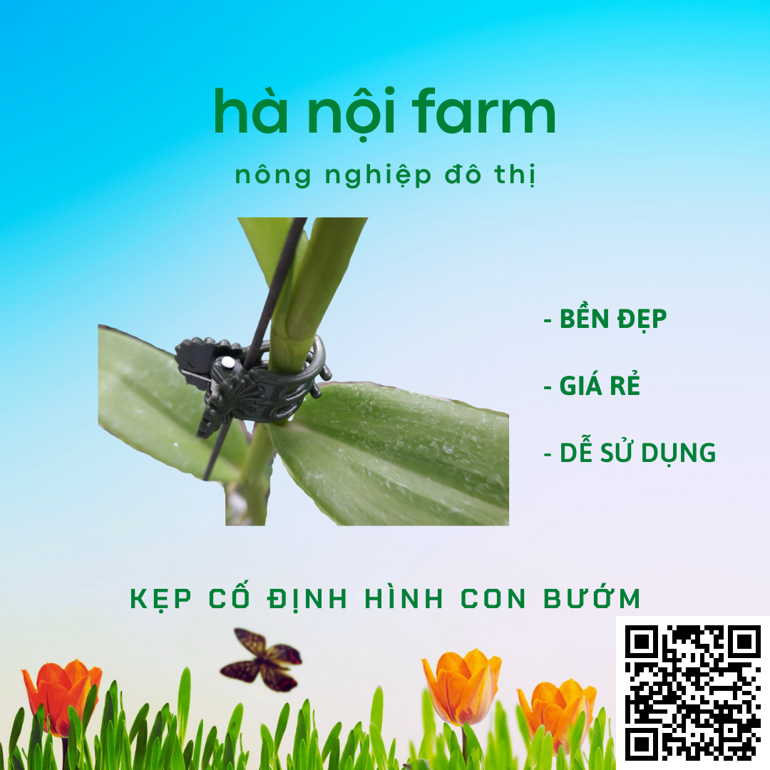 100 kẹp bướm cố định cho lan (loại nhỏ)