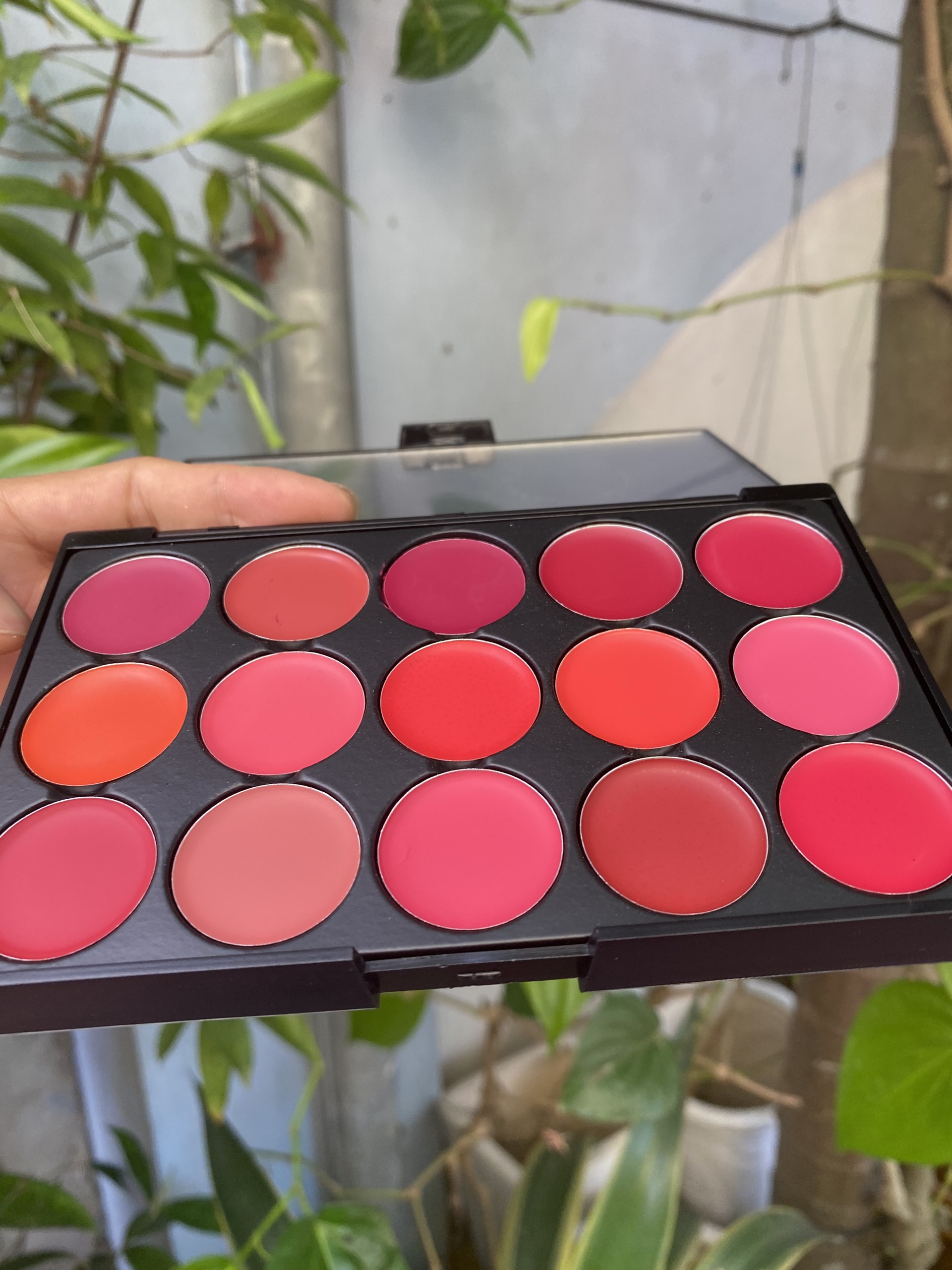 Bảng Son Lì Trang Điểm Miss Rose 15 ( nội địa Trung )