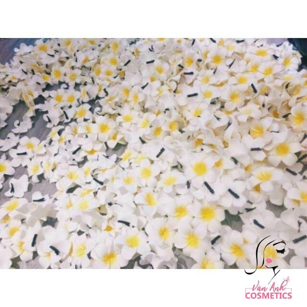 HOA ĐẠI CÀI TÓC ĐI BIỂN LOẠI TO
