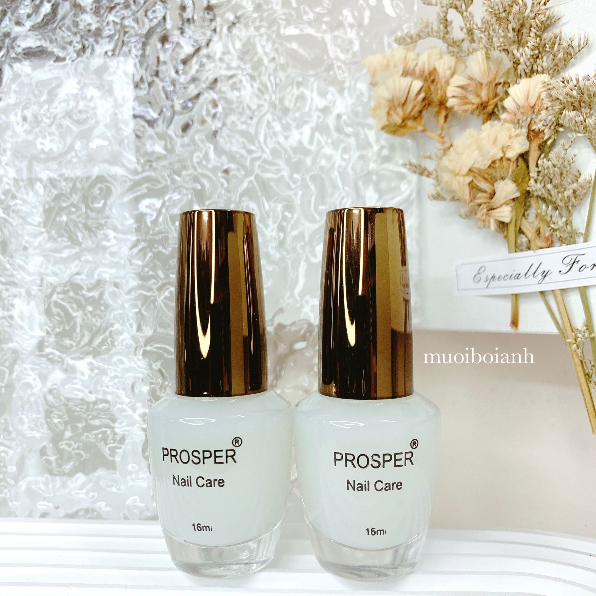 Top nhám 16ml