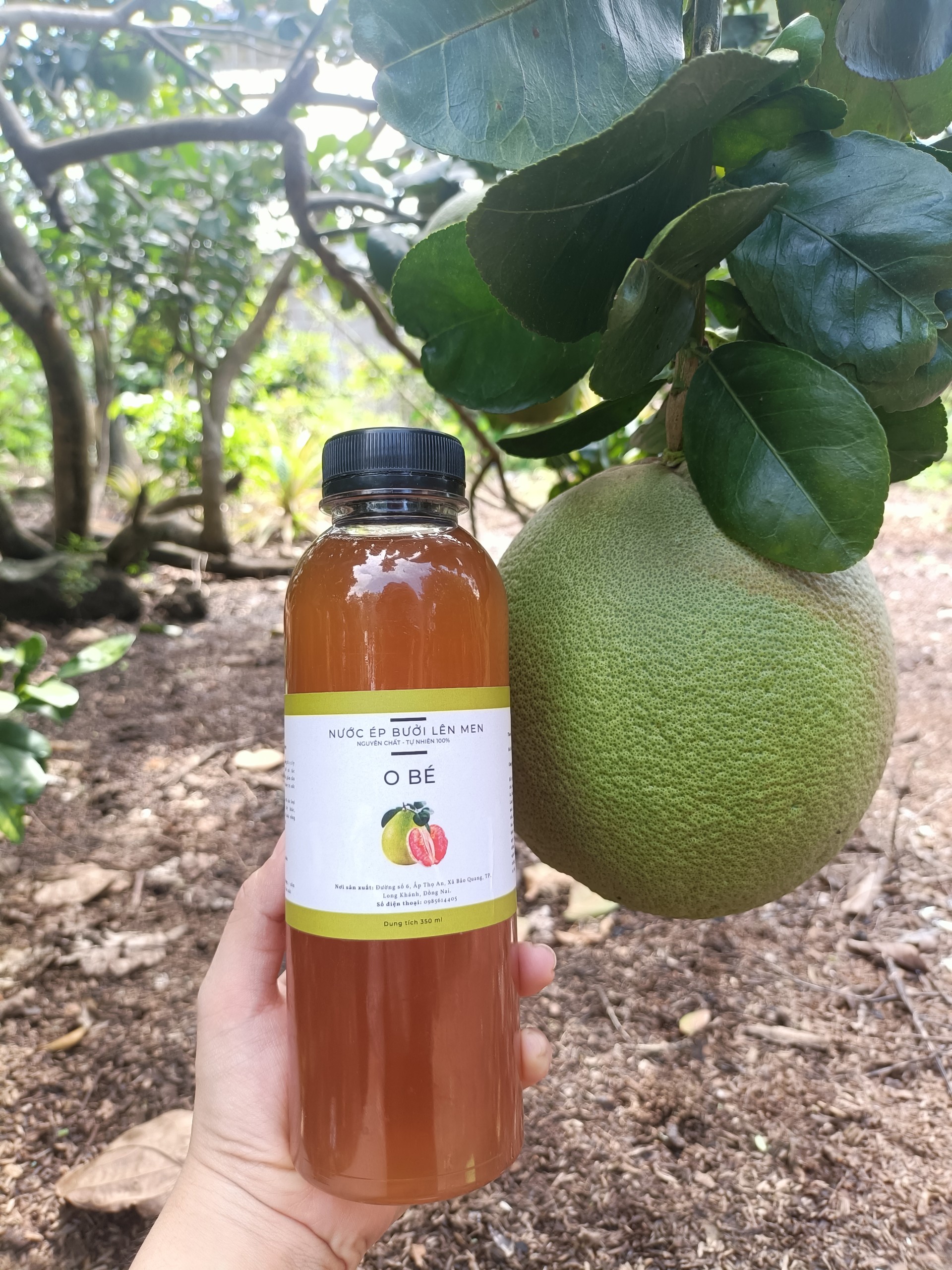 Nước Ép Bưởi Lên Men 500ml Combo 2 Chai