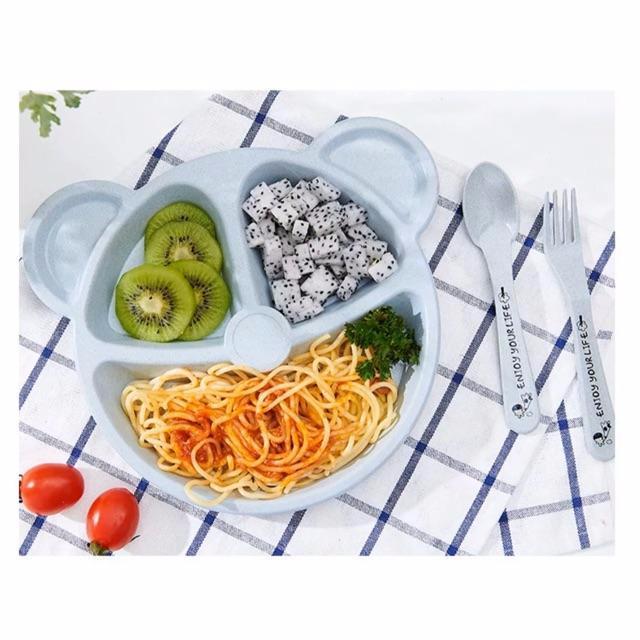 Combo khay ăn dặm hình gấu cho bé