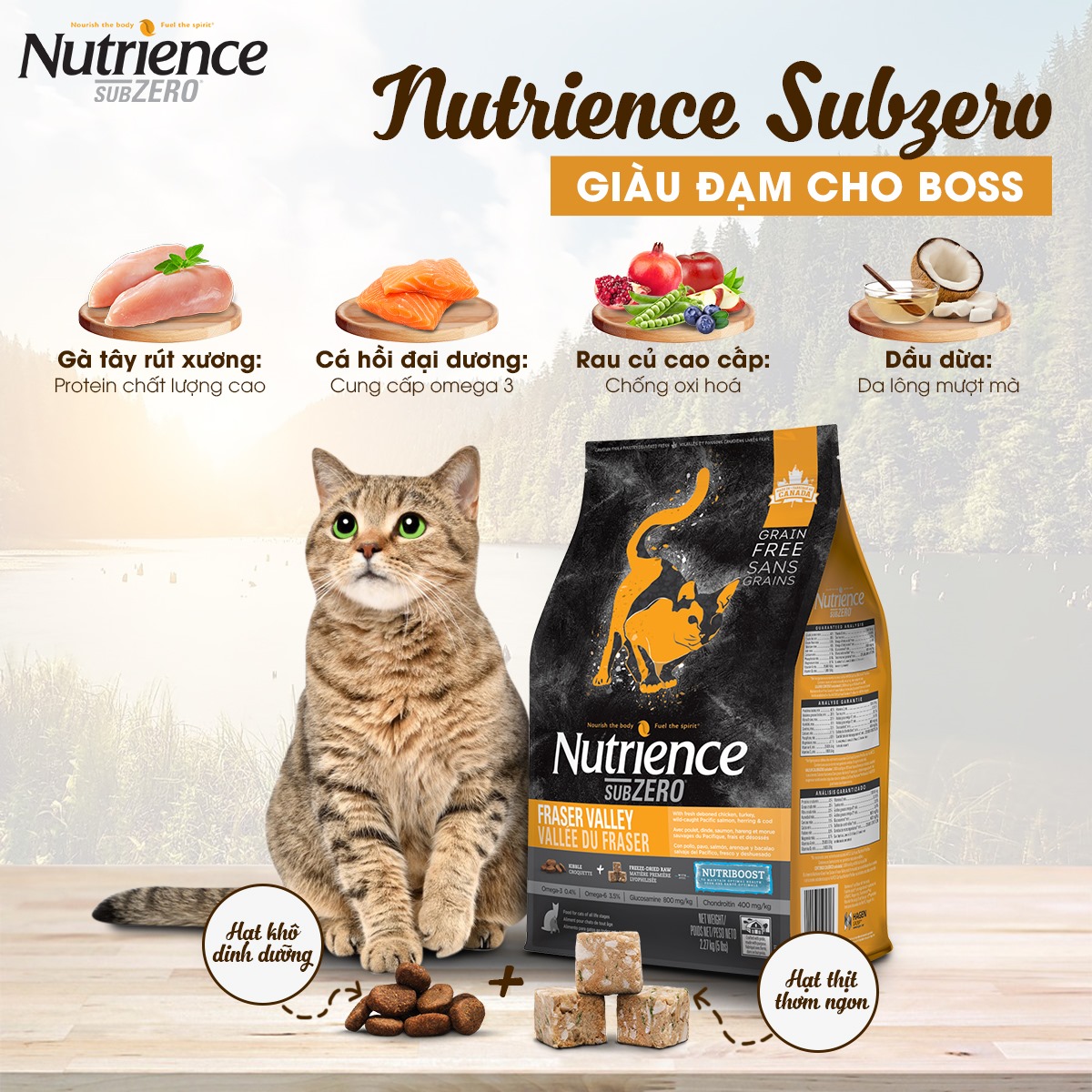 Hạt Nutrience Subzero Cho Mèo mọi lứa tuổi (HSD T3/2024)