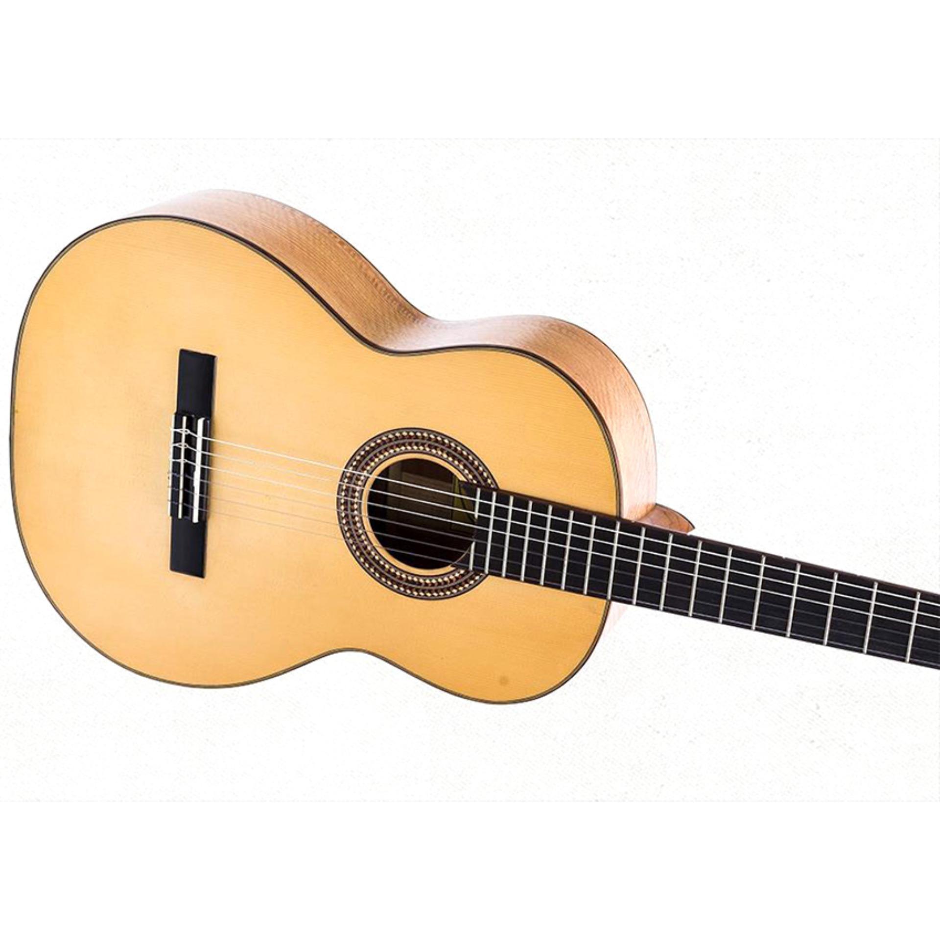 ĐÀN GUITAR CLASSIC DC550