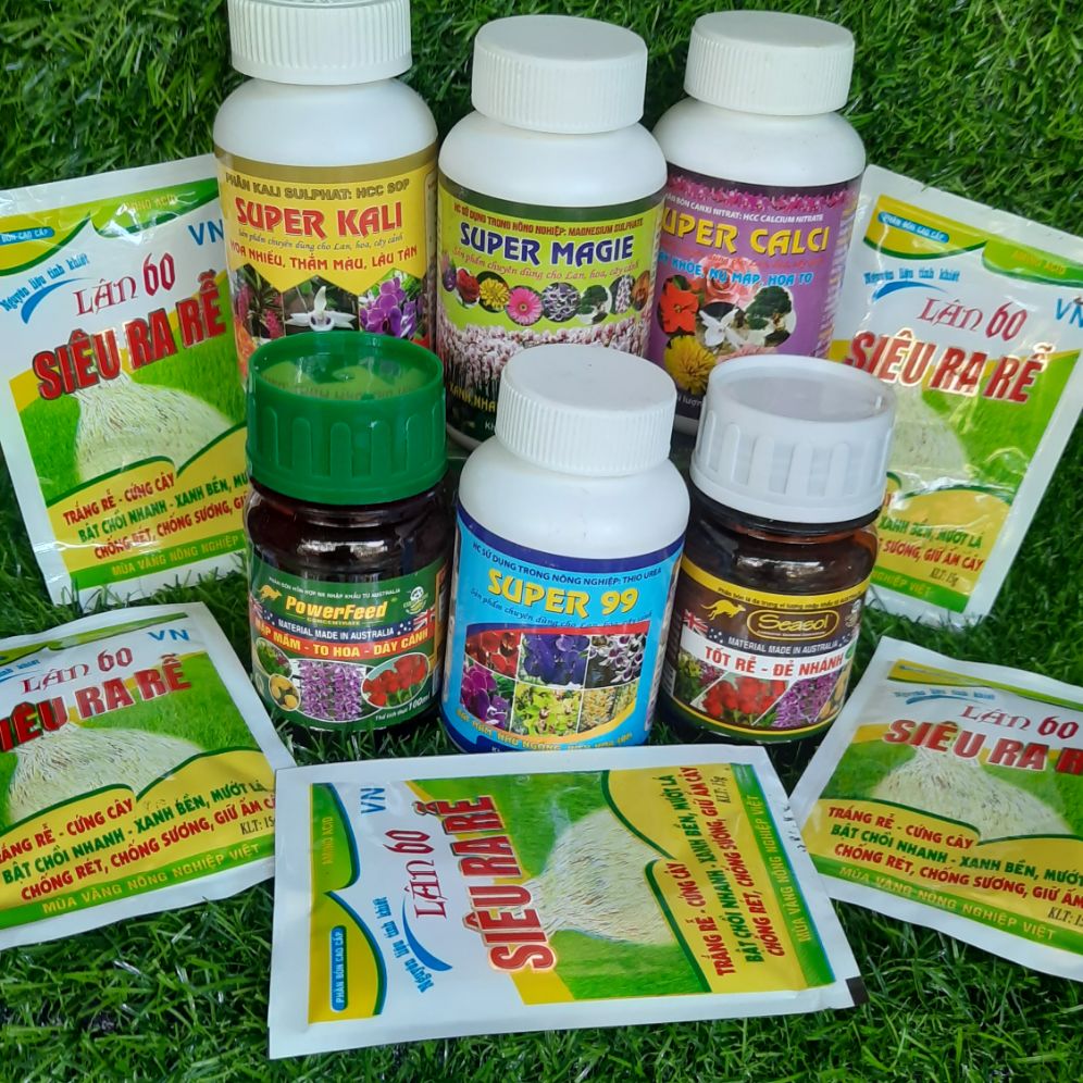 combo chăm sóc hoa lan toàn diện