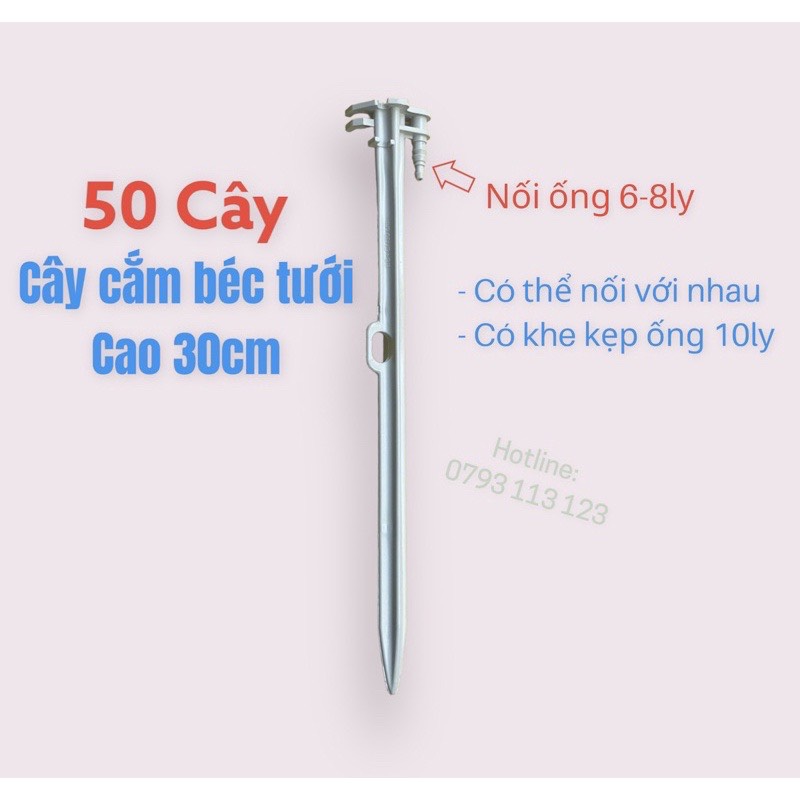 50 Cây cắm béc tưới gốc cao 30cm