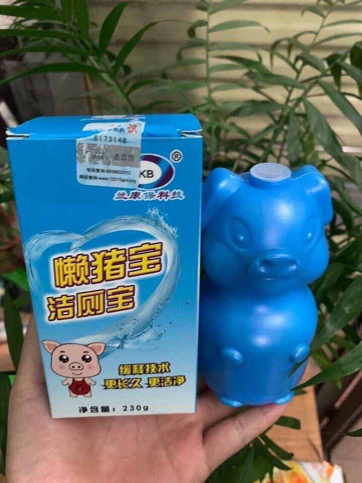 LỌ HEO THẢ BỒN CẦU DIỆT KHUẨN