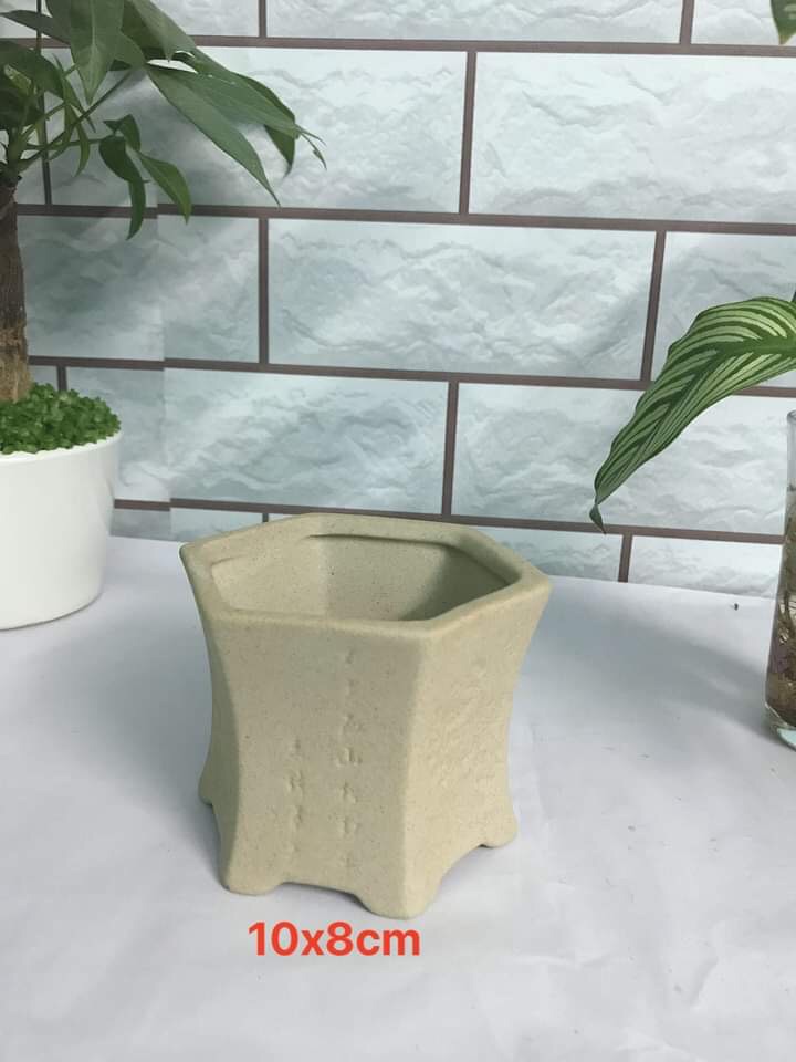 Chậu sứ lục giác