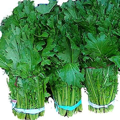 Hạt Giống Rau Cải Mèo F1.Túi 20 Gram - Chất Lượng Cao - Dễ Trồng.