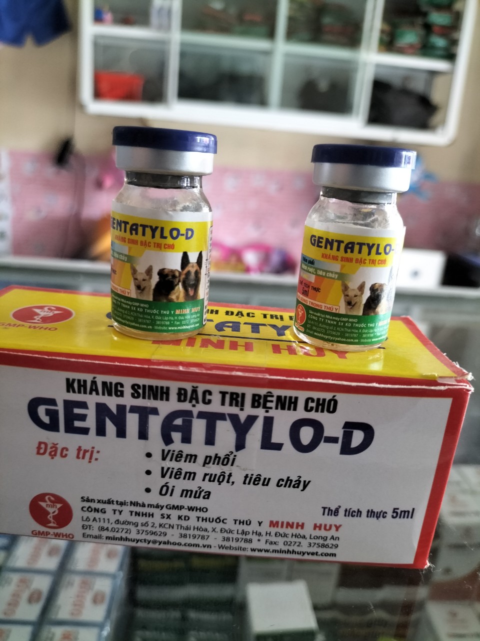 Kháng sinh chó mèo Genta Tylo D 5ml