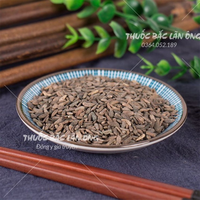 Ngưu Bàng Tử 500g