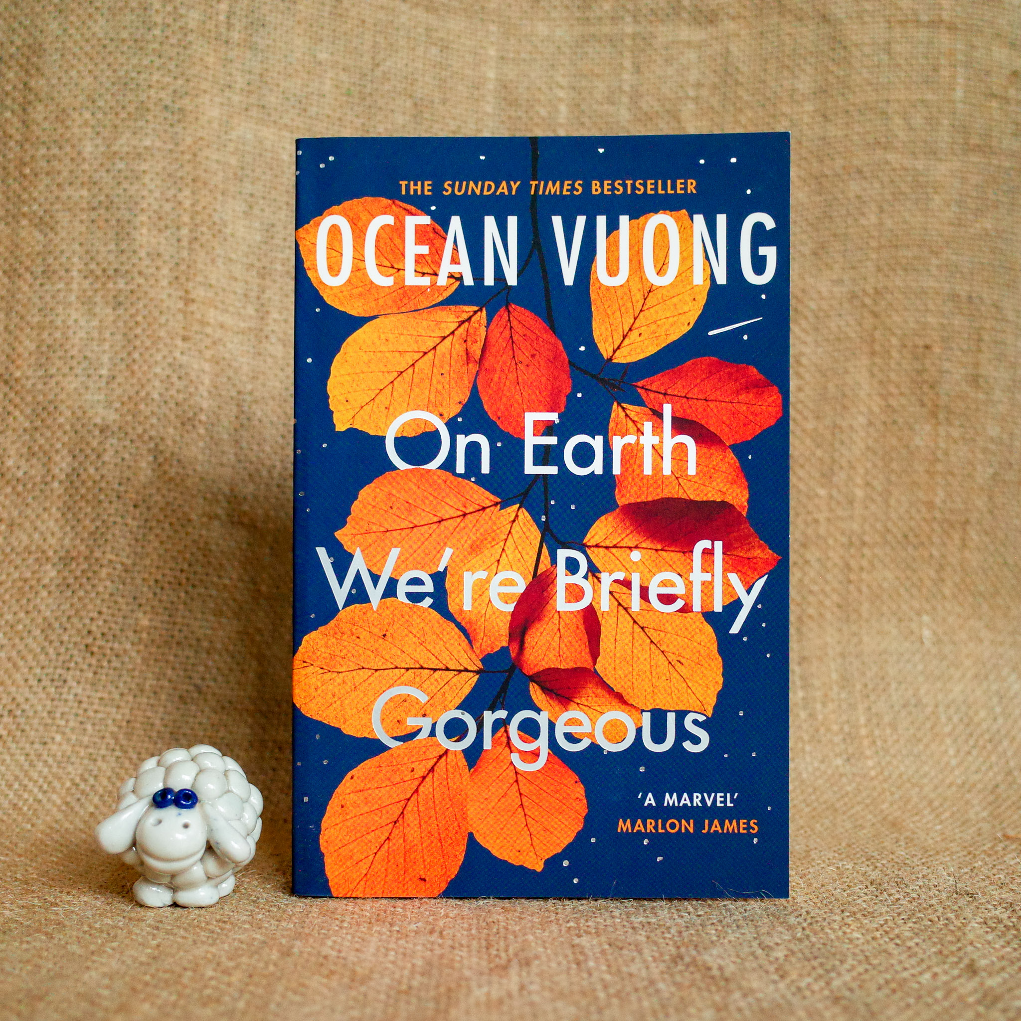On Earth We're Briefly Gorgeous [UK] - Ocean Vuong - Moonbird