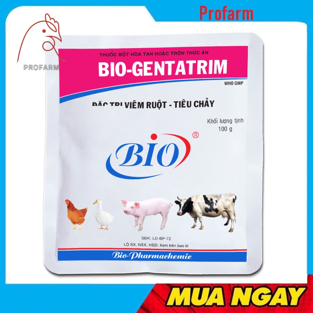 Bio Gentatrim Vim Ruột Tiêu Chảy Thương Hàn Vật Nuôi Dùng Trong Thú Y