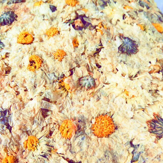 Bông cúc ép bánh 100gr dùng nấu sâm thơm ngon