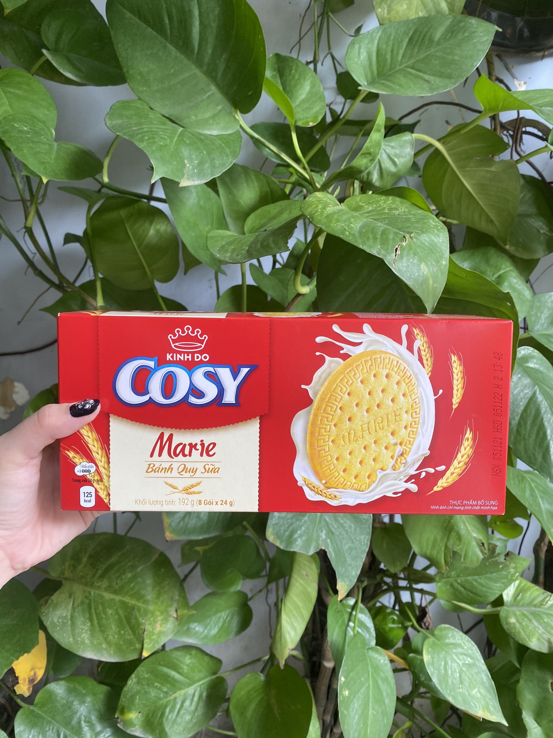 Cozy Marie Milk Flavored Cookies (Box of 192g)
