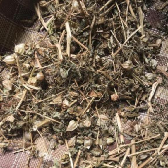 Cây thù lù khô 500g chất lượng cao