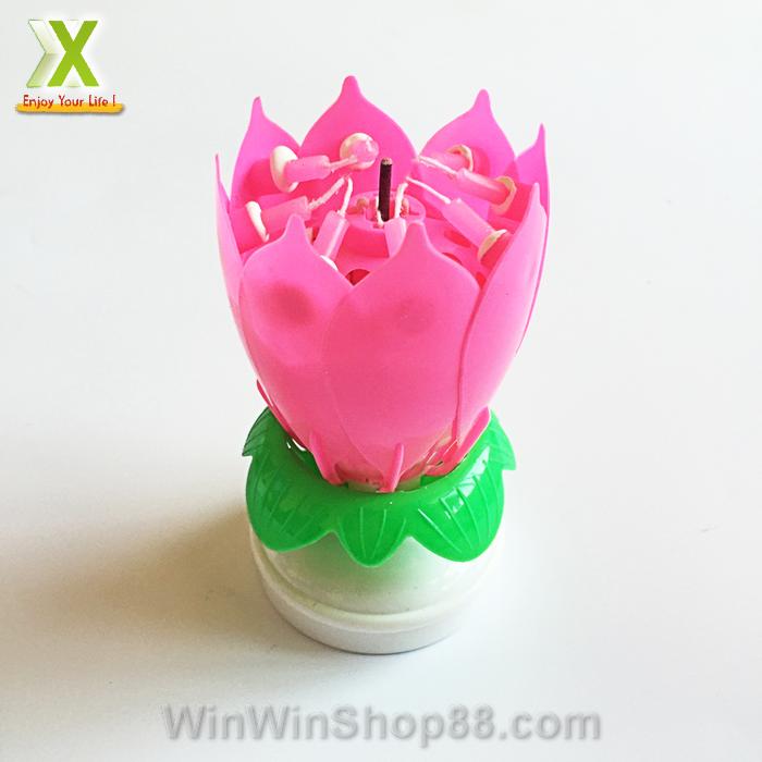 [FREESHIP MAX 15K][HCM+SHIP NHANH]Nến sinh nhật nở hoa và phát nhạc V.2