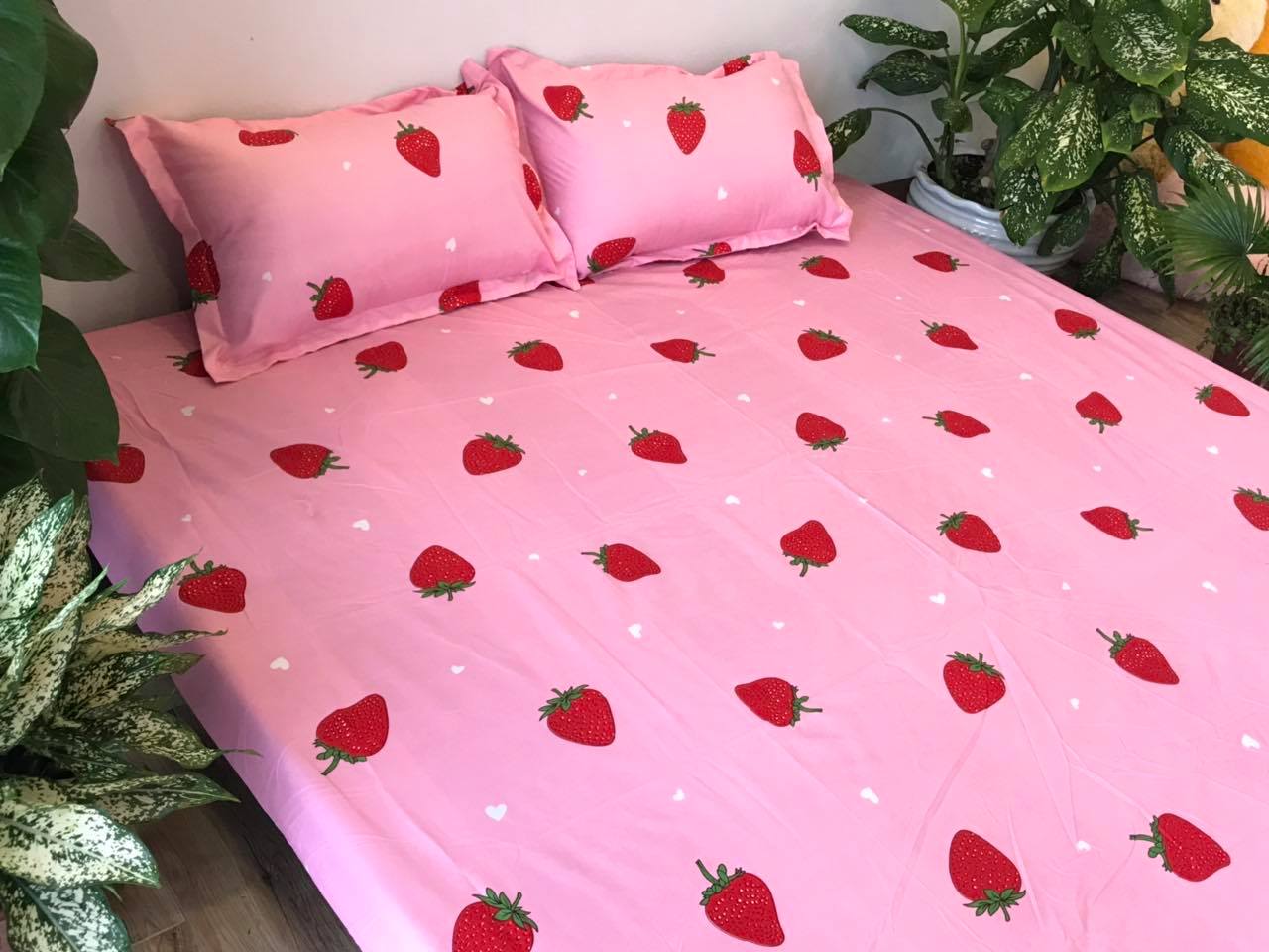 Set Ga Gối Poly ( tặng kèm áo gối ôm ) Mẫu  Dâu Tây