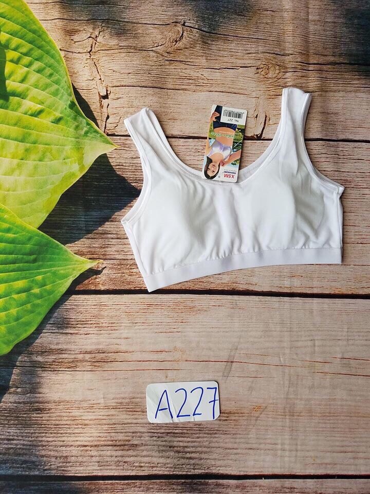 [HCM]Set 2 áo lá học sinh cotton (35-50 ky)