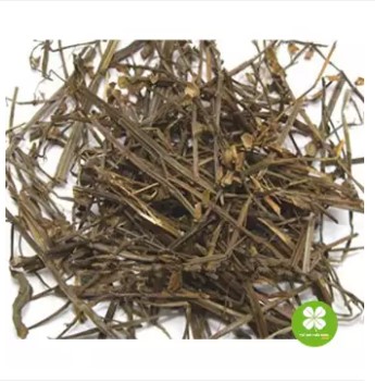Cây bán chi liên (gói 1kg khô) - LV077