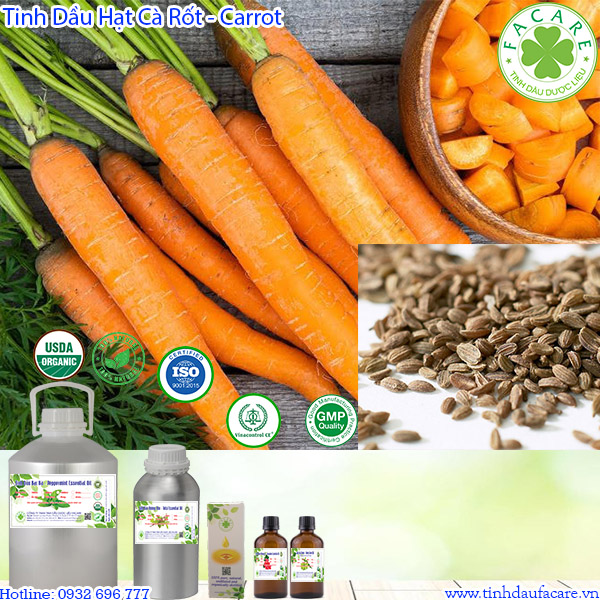 Tinh Dầu Hạt Cà Rốt Carrot seed essential oil - 10ml