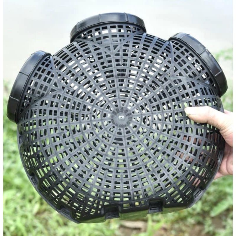 Rọ bắt lươn, cua cá thế hệ mới