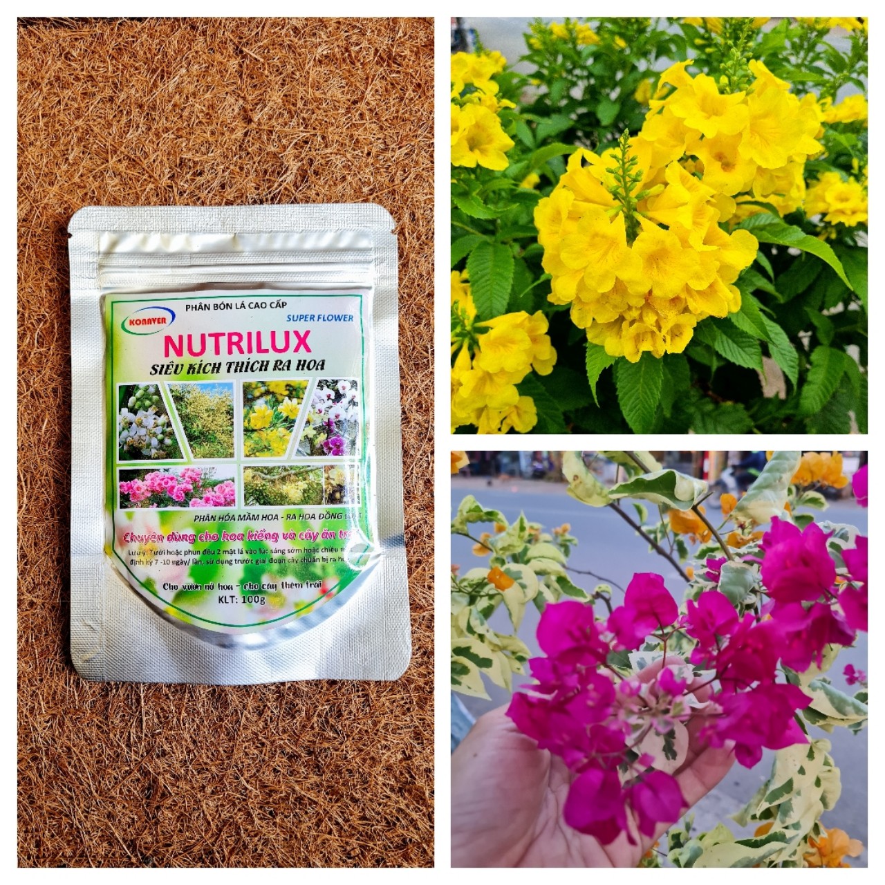 Siêu ra hoa đậu trái Nutrilux super flower gói 100g phân hóa mầm hoa, giúp hoa ra sớm, ra hoa trái mùa