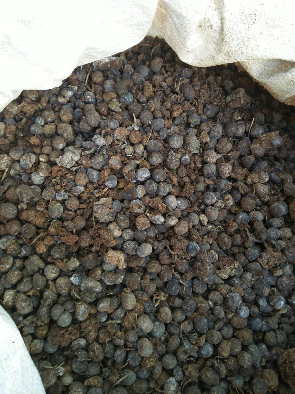 01 kg Phân dê đã qua xữ lý.