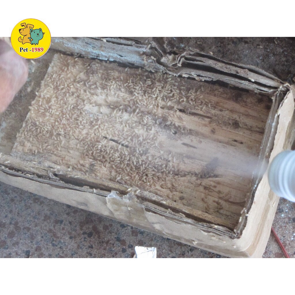 Pmc 90 - 100Gr Powder-Based Termite Killer