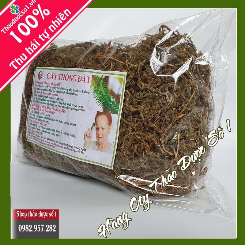 Cây thông đất khô - 500g