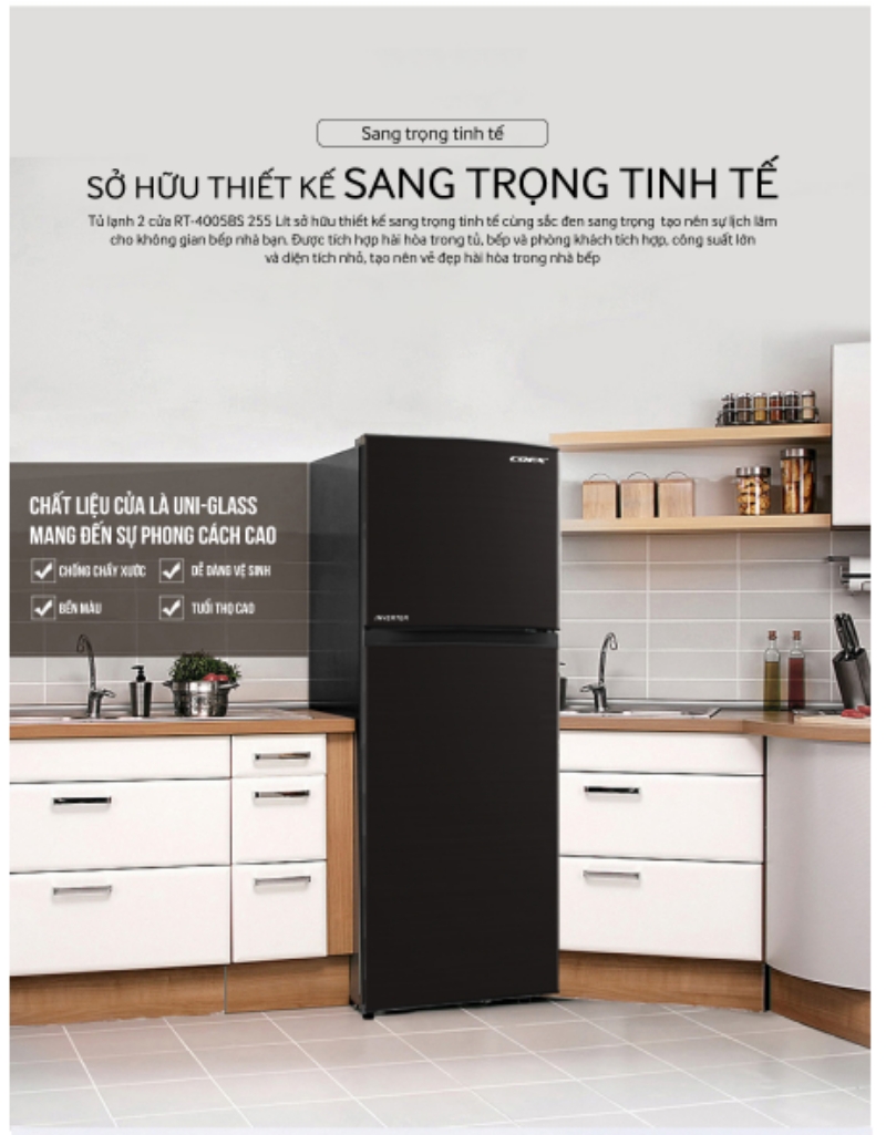 Tủ lạnh 2 cửa Inverter Coex RT-4005BS 255 Lít