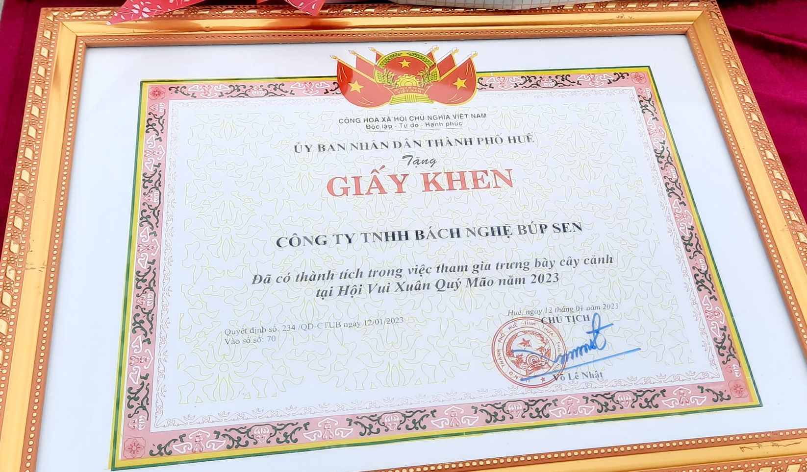 Nụ trầm hương  Huế ( không hóa chất , xông nhà , tẩy uế , đuổi muỗi  )