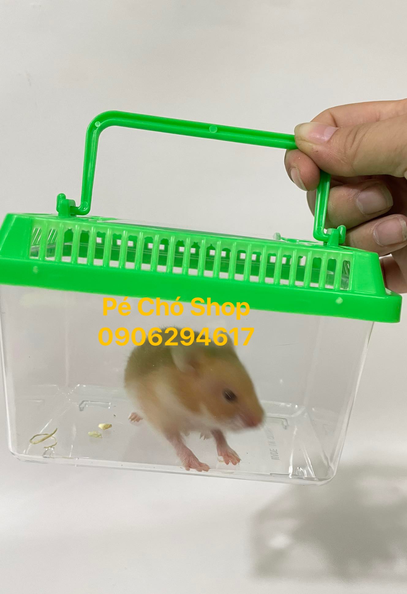 [HCM]Hộp Mika vận chuyển thú cưng nhỏ bò sát(size dài 13cm rộng 7cm cao8 cm)