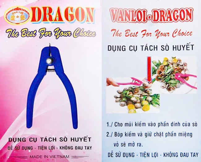 [HCM] Tách Sò Huyết Dragon ( xanh dương)