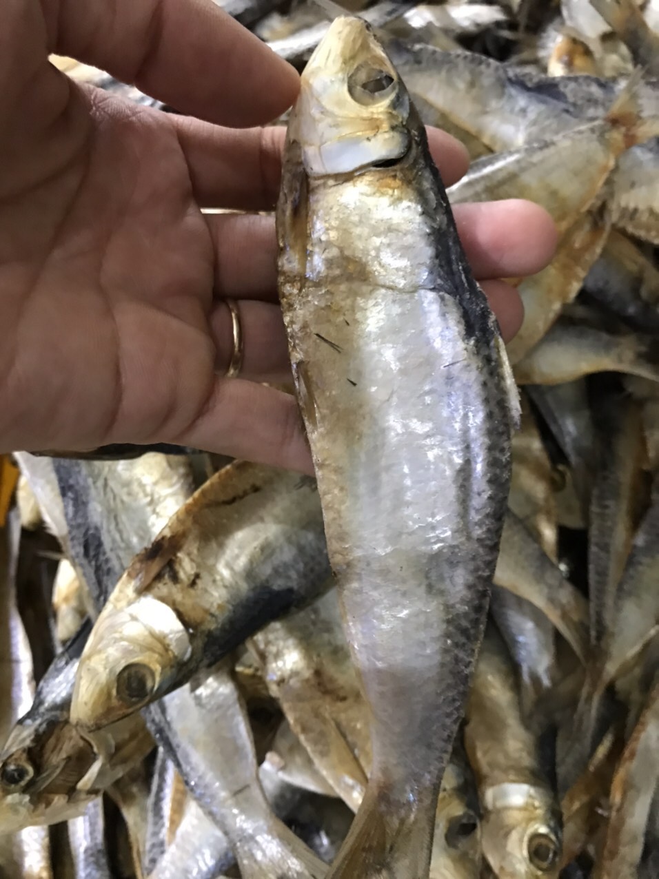 1kg khô cá Trích