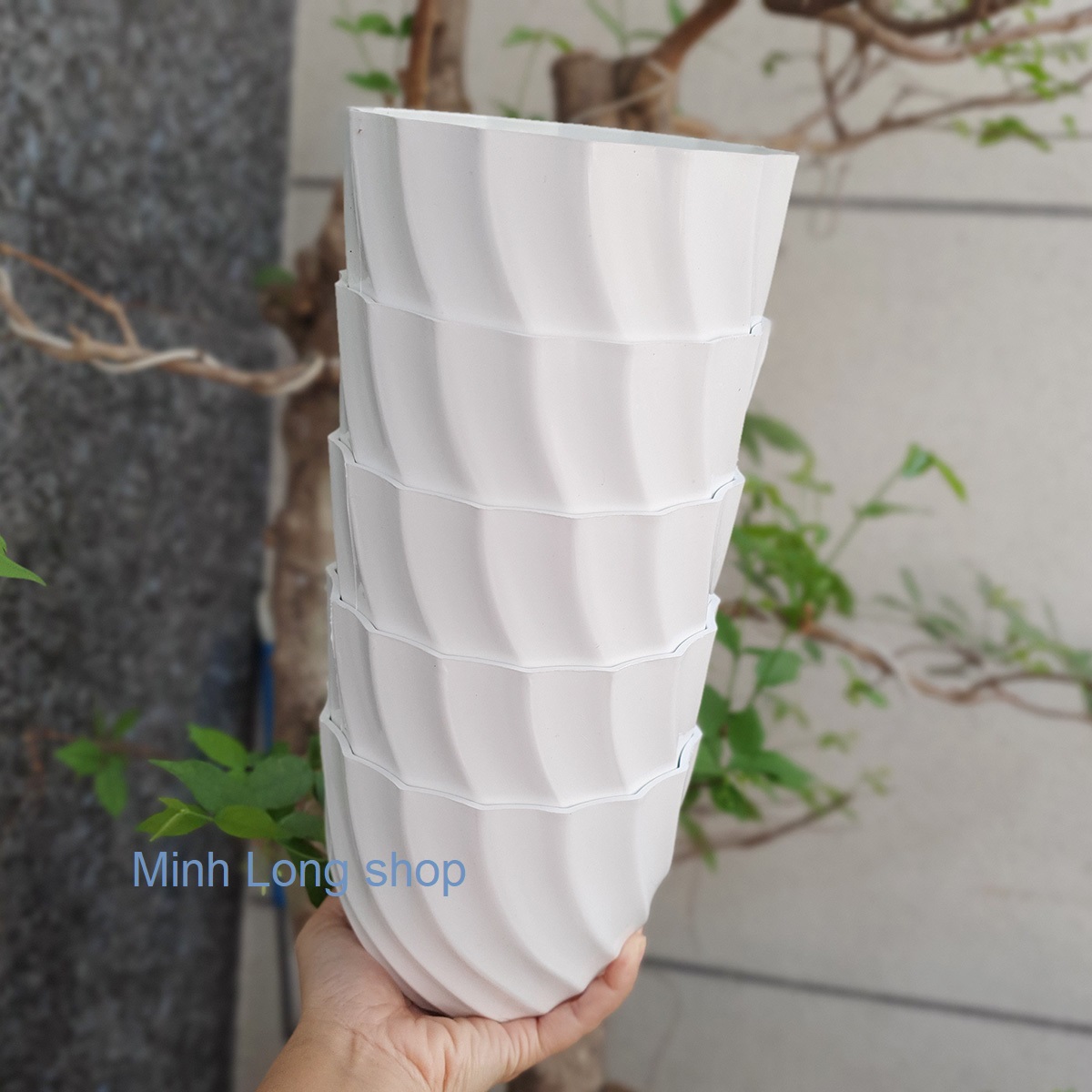 Bộ 05 chậu ốc xoắn nhỏ trồng hoa màu trắng 14x11cm