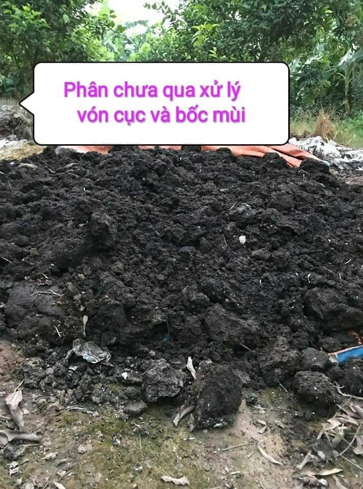 CHẾ PHẨM MEN GỐC NO1 ( CHUYÊN Ủ PHÂN HỮU CƠ )