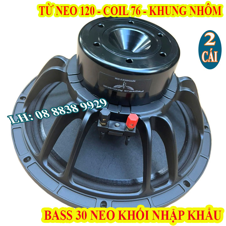 Cặp củ loa bass 30 pegasus từ neo khối coil 76 từ 120 tiếng sáng cao cấp nhập khẩu - giá 2 loa