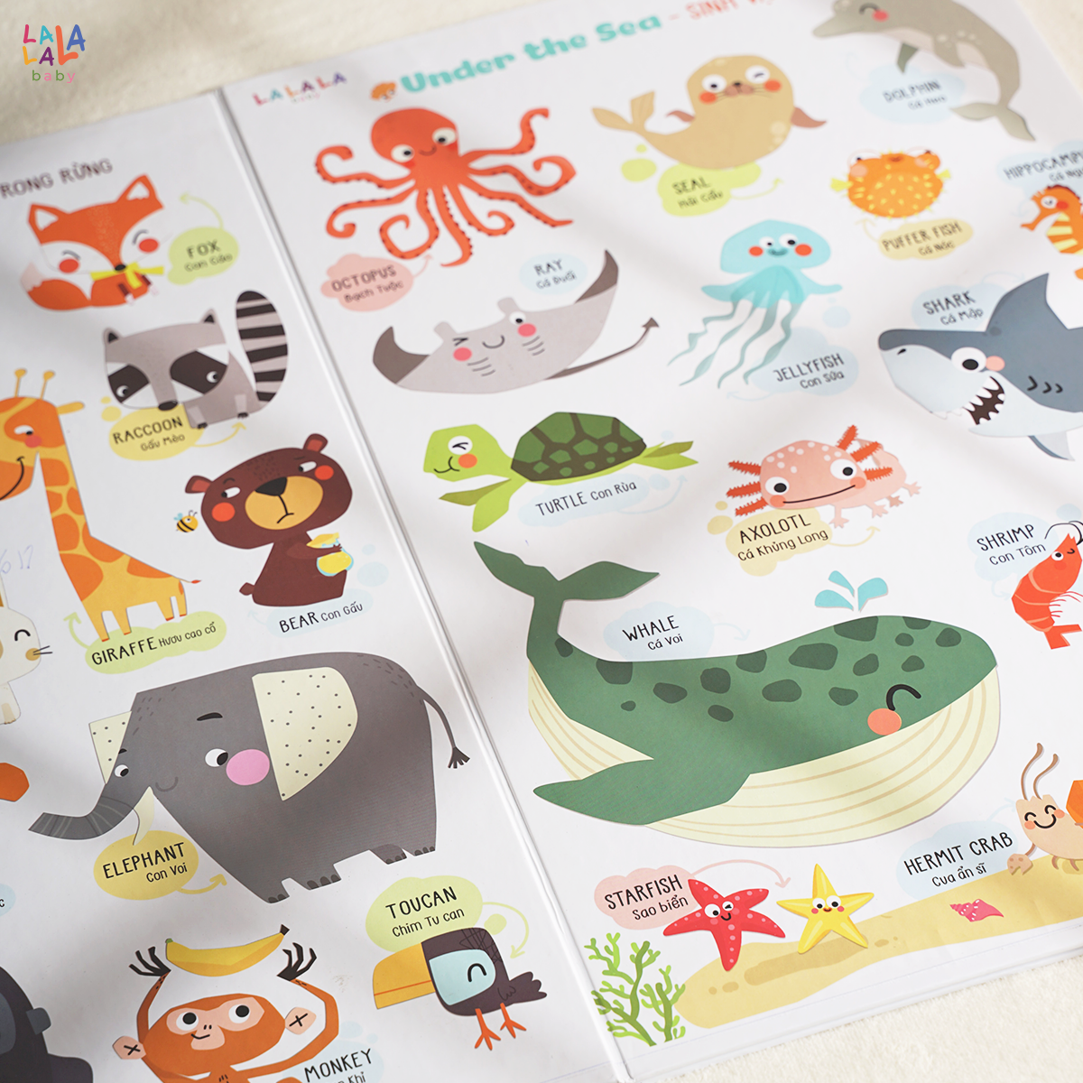BẢNG GẤP THÔNG THÁI - MY FIRST LEARNING CHART