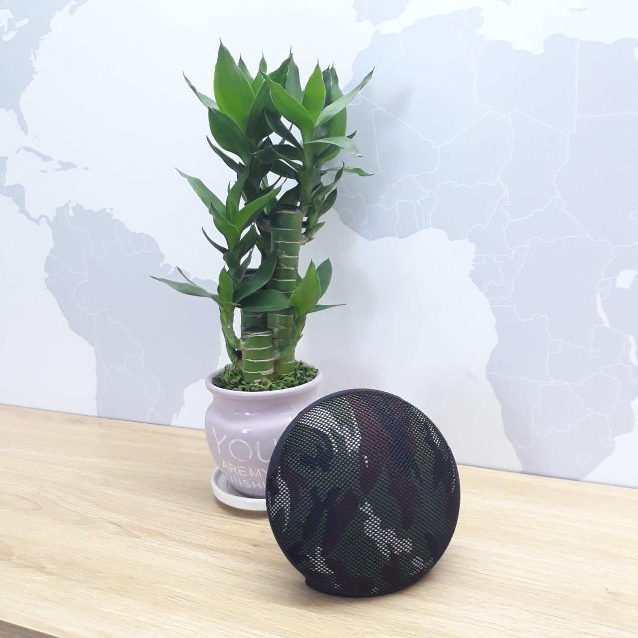 Loa Bluetooth JC210