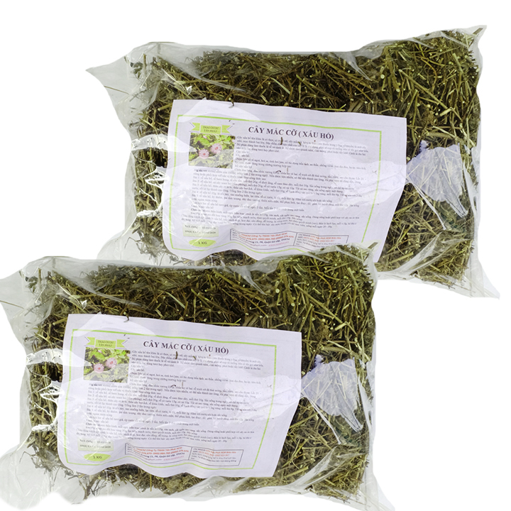 Cây xấu hổ (mắc cỡ) khô 1kg - tấn phát