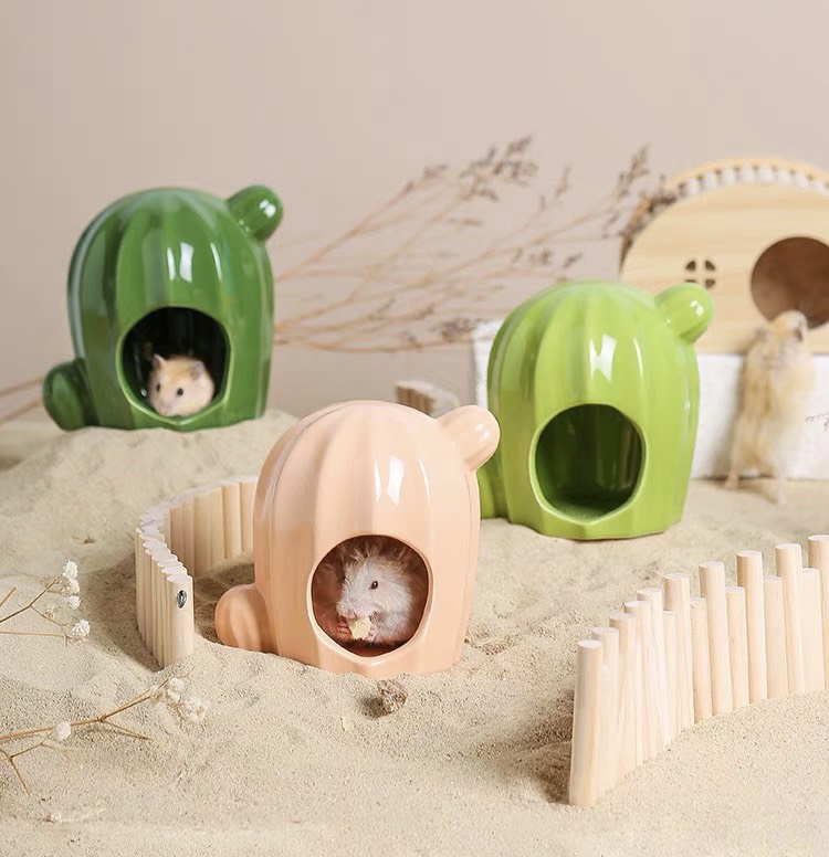 Nhà sứ xương rồng dành cho hamster - T3 PETS SHOP