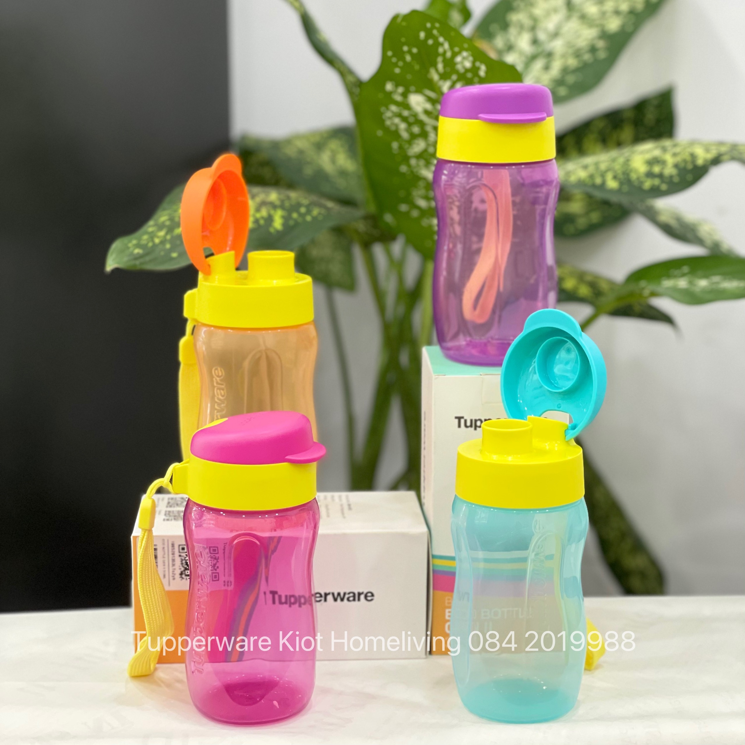 Bình Nước Tupperware Eco 310ml - Tupperware Mall Chợ Lớn