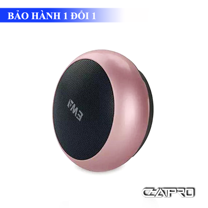 Loa Bluetooth EWA A110