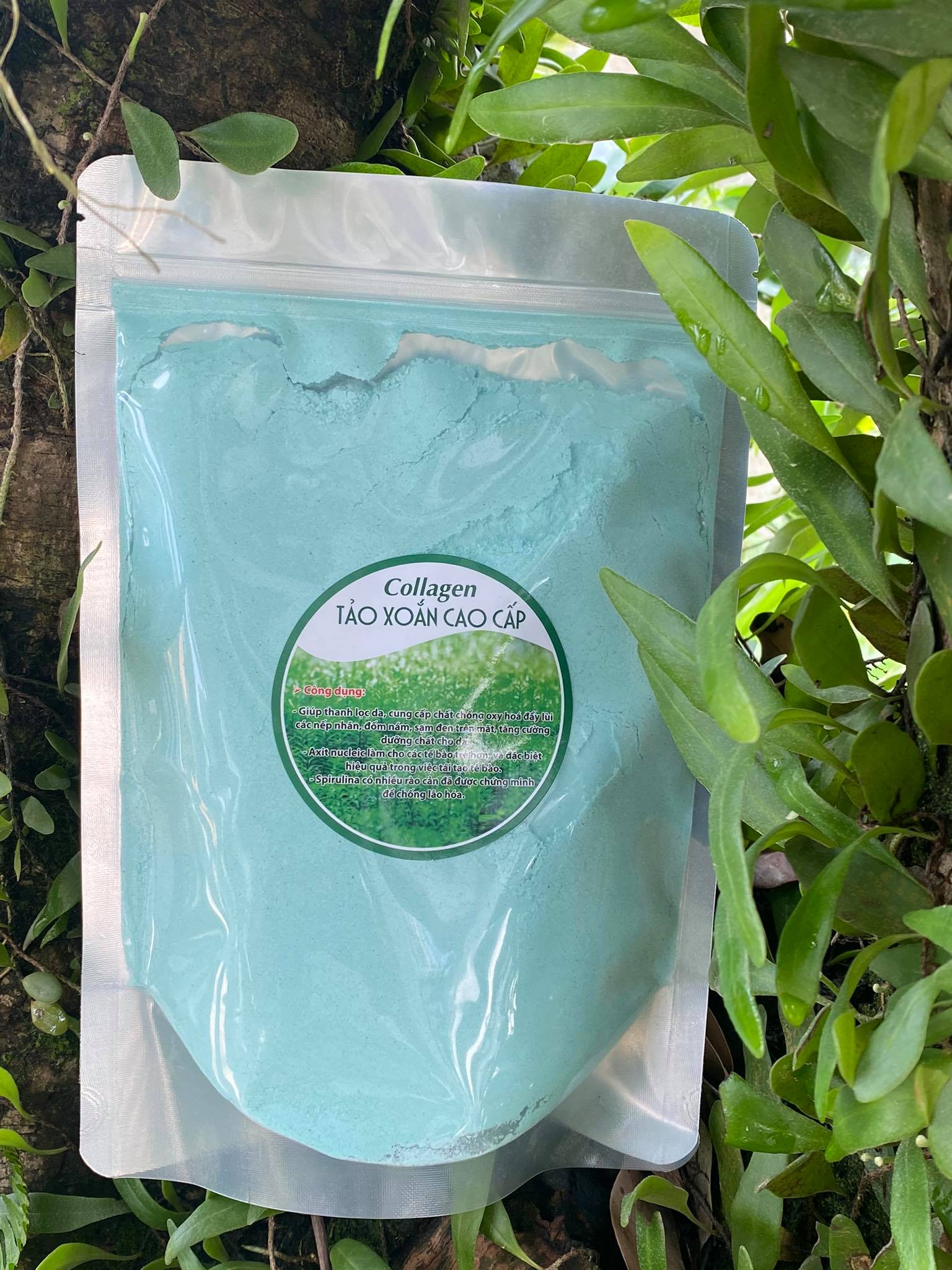 mặt nạ colagen tảo