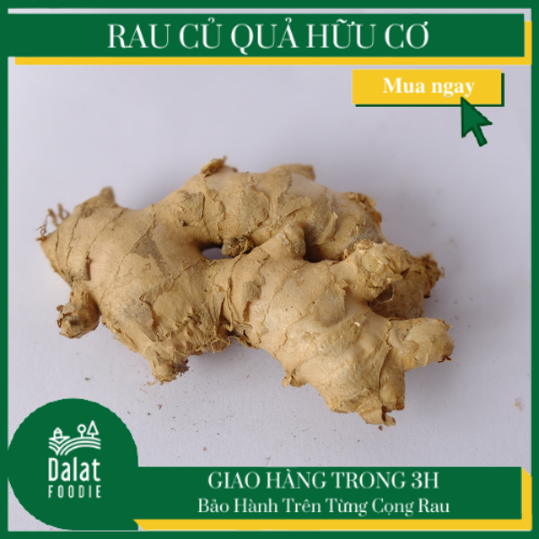 Gừng Trâu 300G
